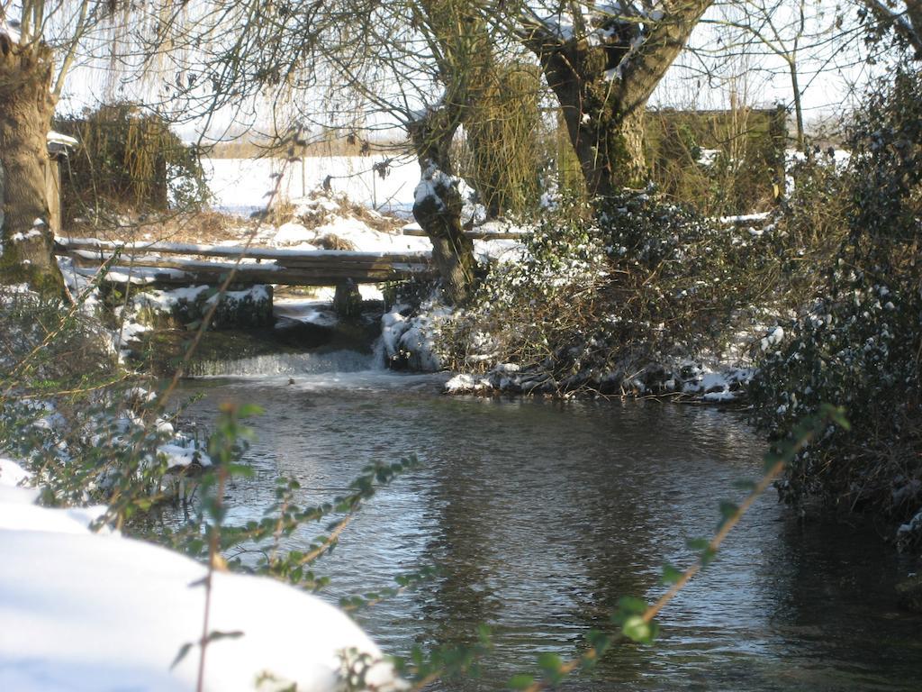 Chef-Boutonne Le Moulin De Lusseau Bed & Breakfast エクステリア 写真