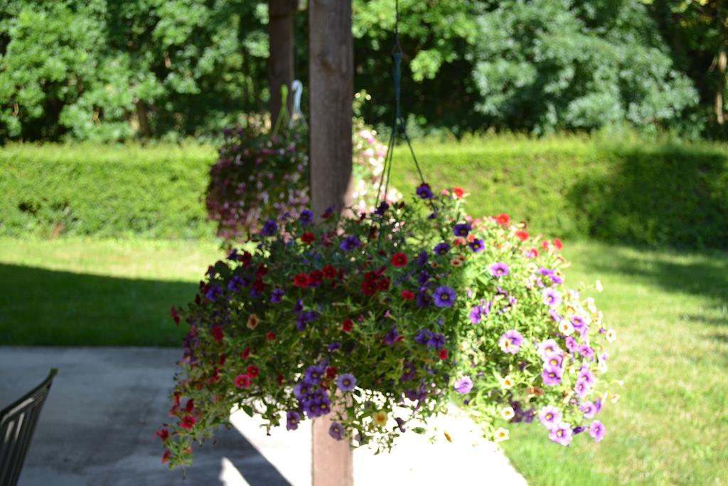 Chef-Boutonne Le Moulin De Lusseau Bed & Breakfast エクステリア 写真