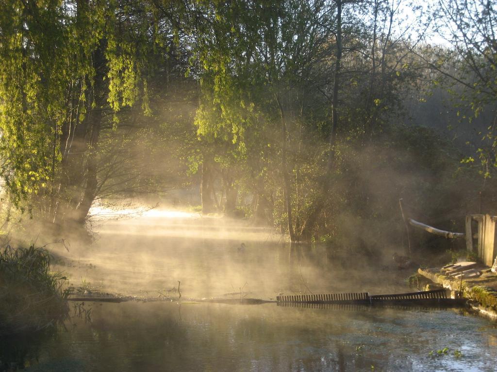 Chef-Boutonne Le Moulin De Lusseau Bed & Breakfast エクステリア 写真