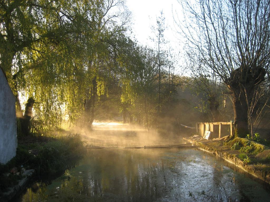 Chef-Boutonne Le Moulin De Lusseau Bed & Breakfast エクステリア 写真